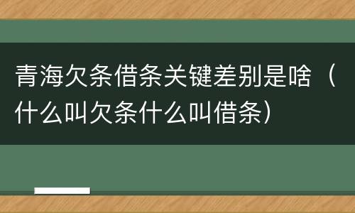 青海欠条借条关键差别是啥（什么叫欠条什么叫借条）