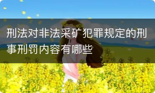 刑法对非法采矿犯罪规定的刑事刑罚内容有哪些