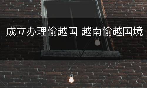 成立办理偷越国 越南偷越国境