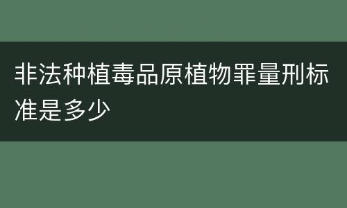 非法种植毒品原植物罪量刑标准是多少
