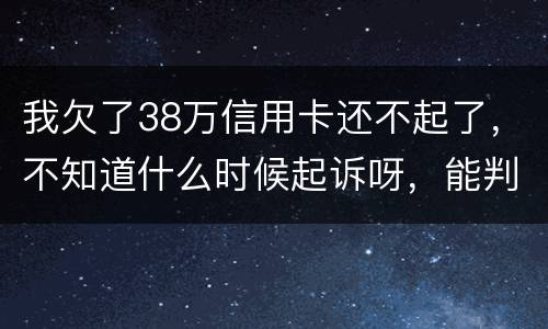 我欠了38万信用卡还不起了，不知道什么时候起诉呀，能判刑几年