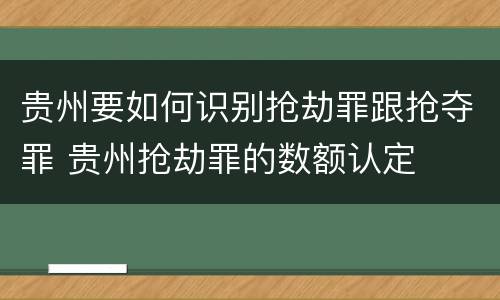 贵州要如何识别抢劫罪跟抢夺罪 贵州抢劫罪的数额认定