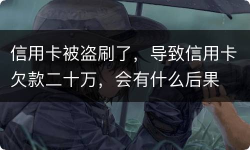 信用卡被盗刷了，导致信用卡欠款二十万，会有什么后果