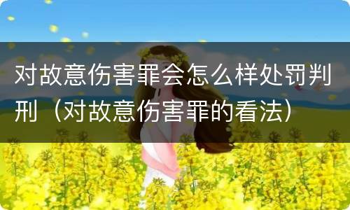 对故意伤害罪会怎么样处罚判刑（对故意伤害罪的看法）
