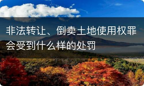 非法转让、倒卖土地使用权罪会受到什么样的处罚
