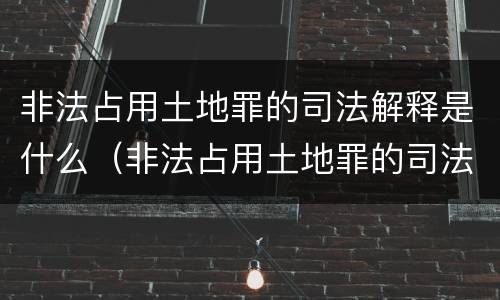非法占用土地罪的司法解释是什么（非法占用土地罪的司法解释是什么样的）