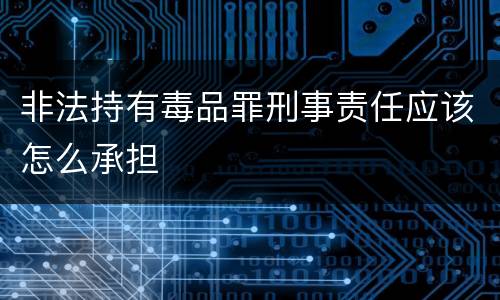 非法持有毒品罪刑事责任应该怎么承担