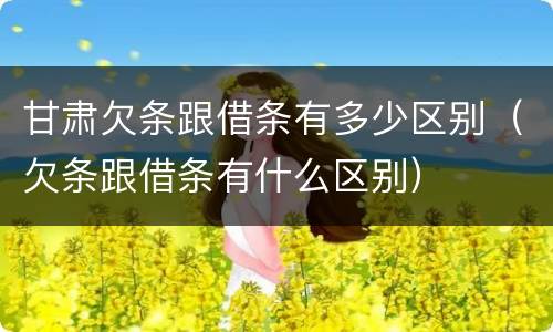 甘肃欠条跟借条有多少区别（欠条跟借条有什么区别）