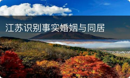 江苏识别事实婚姻与同居
