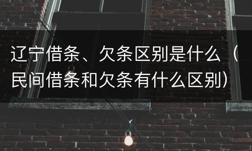 辽宁借条、欠条区别是什么（民间借条和欠条有什么区别）