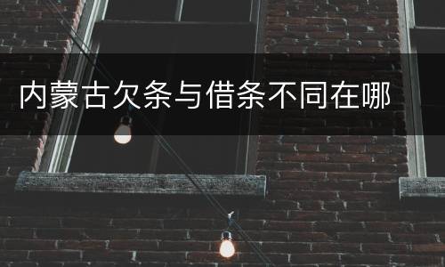 内蒙古欠条与借条不同在哪