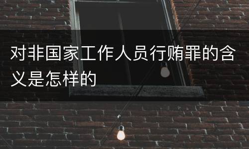 对非国家工作人员行贿罪的含义是怎样的