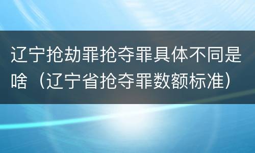 辽宁抢劫罪抢夺罪具体不同是啥（辽宁省抢夺罪数额标准）