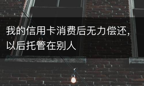 我的信用卡消费后无力偿还，以后托管在别人