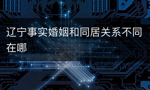 辽宁事实婚姻和同居关系不同在哪