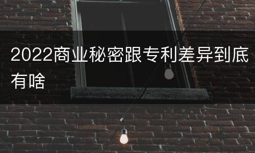 2022商业秘密跟专利差异到底有啥
