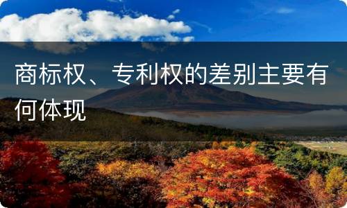 商标权、专利权的差别主要有何体现