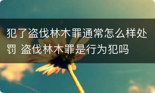 犯了盗伐林木罪通常怎么样处罚 盗伐林木罪是行为犯吗