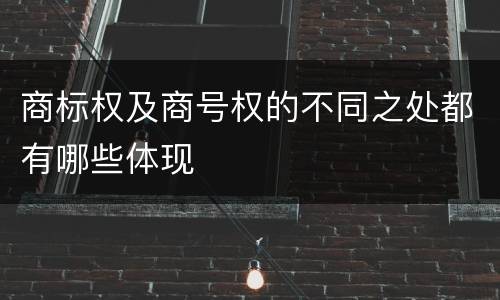 商标权及商号权的不同之处都有哪些体现