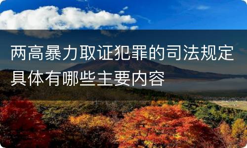 两高暴力取证犯罪的司法规定具体有哪些主要内容