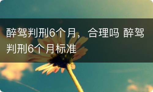 醉驾判刑6个月，合理吗 醉驾判刑6个月标准