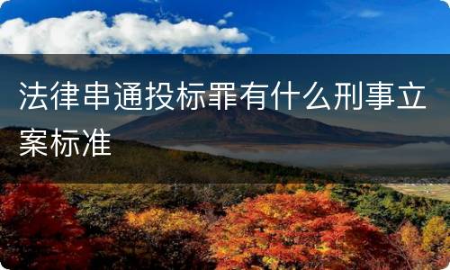 法律串通投标罪有什么刑事立案标准