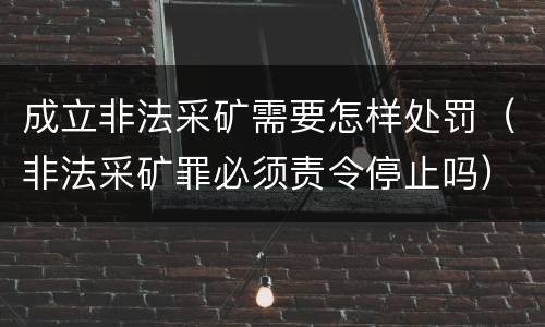 成立非法采矿需要怎样处罚（非法采矿罪必须责令停止吗）