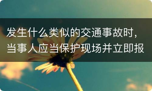 发生什么类似的交通事故时，当事人应当保护现场并立即报警