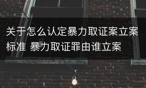 关于怎么认定暴力取证案立案标准 暴力取证罪由谁立案