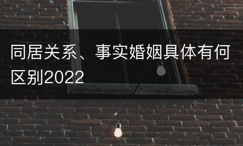 同居关系、事实婚姻具体有何区别2022