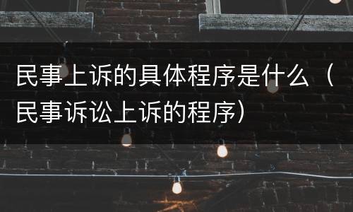 民事上诉的具体程序是什么（民事诉讼上诉的程序）