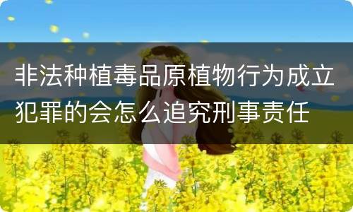 非法种植毒品原植物行为成立犯罪的会怎么追究刑事责任