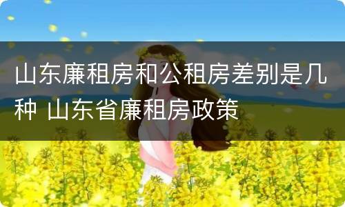 山东廉租房和公租房差别是几种 山东省廉租房政策