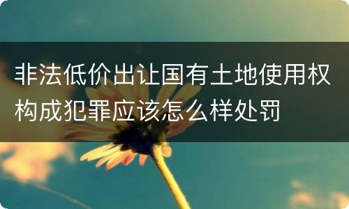 非法低价出让国有土地使用权构成犯罪应该怎么样处罚