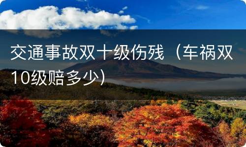 交通事故双十级伤残（车祸双10级赔多少）