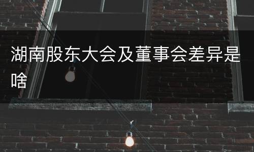 湖南股东大会及董事会差异是啥