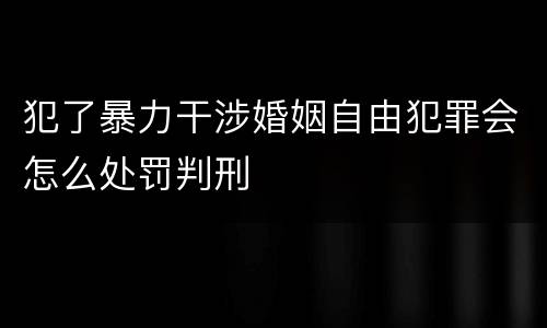 犯了暴力干涉婚姻自由犯罪会怎么处罚判刑
