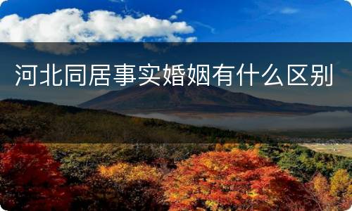 河北同居事实婚姻有什么区别