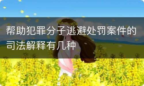 帮助犯罪分子逃避处罚案件的司法解释有几种