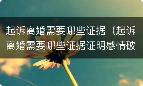 起诉离婚需要哪些证据（起诉离婚需要哪些证据证明感情破裂）