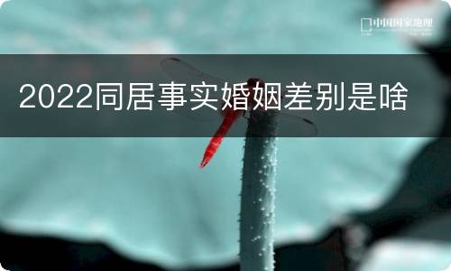 2022同居事实婚姻差别是啥
