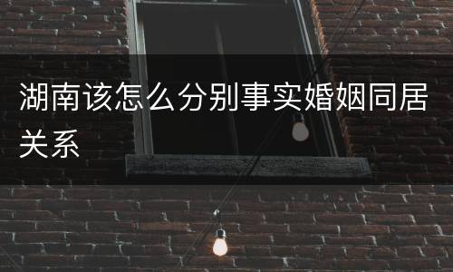 湖南该怎么分别事实婚姻同居关系