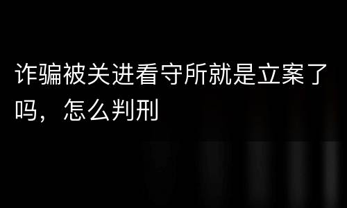 诈骗被关进看守所就是立案了吗，怎么判刑
