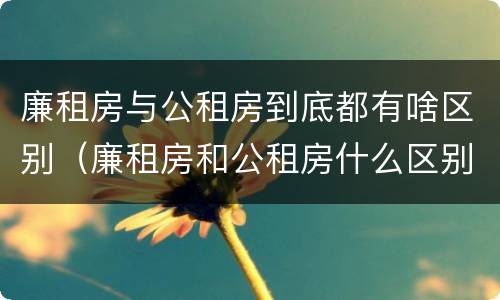 廉租房与公租房到底都有啥区别（廉租房和公租房什么区别）