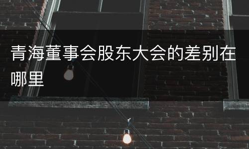 青海董事会股东大会的差别在哪里