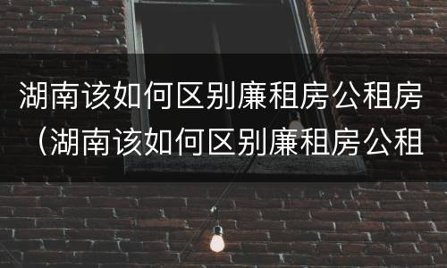 湖南该如何区别廉租房公租房（湖南该如何区别廉租房公租房和住宅）