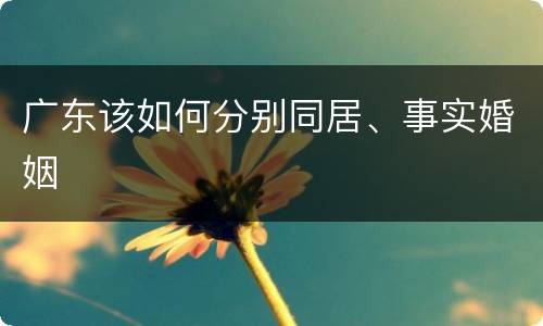 广东该如何分别同居、事实婚姻