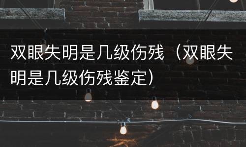 双眼失明是几级伤残（双眼失明是几级伤残鉴定）