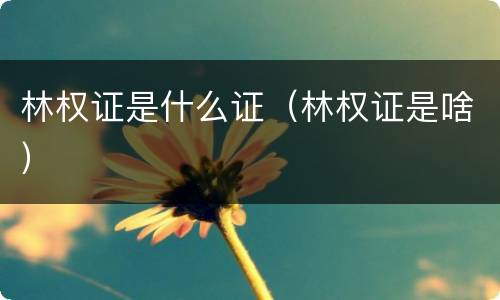 林权证是什么证（林权证是啥）