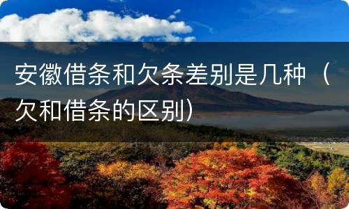 安徽借条和欠条差别是几种（欠和借条的区别）